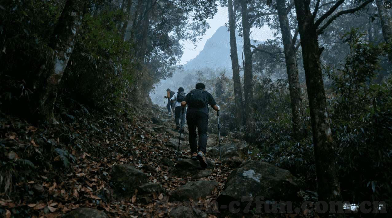 心舞游戏下载九游-心舞游戏，九游平台下载指南与体验分享