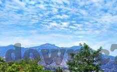 足球比分1 1主场-1-1主场平局，足球场上的坚韧与遗憾交织